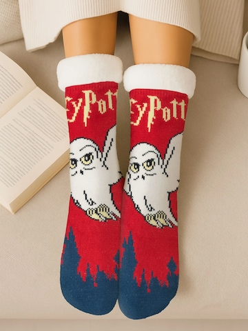 Harry Potter Socks 'Hüttensocken Hedwig' in Mixed colours