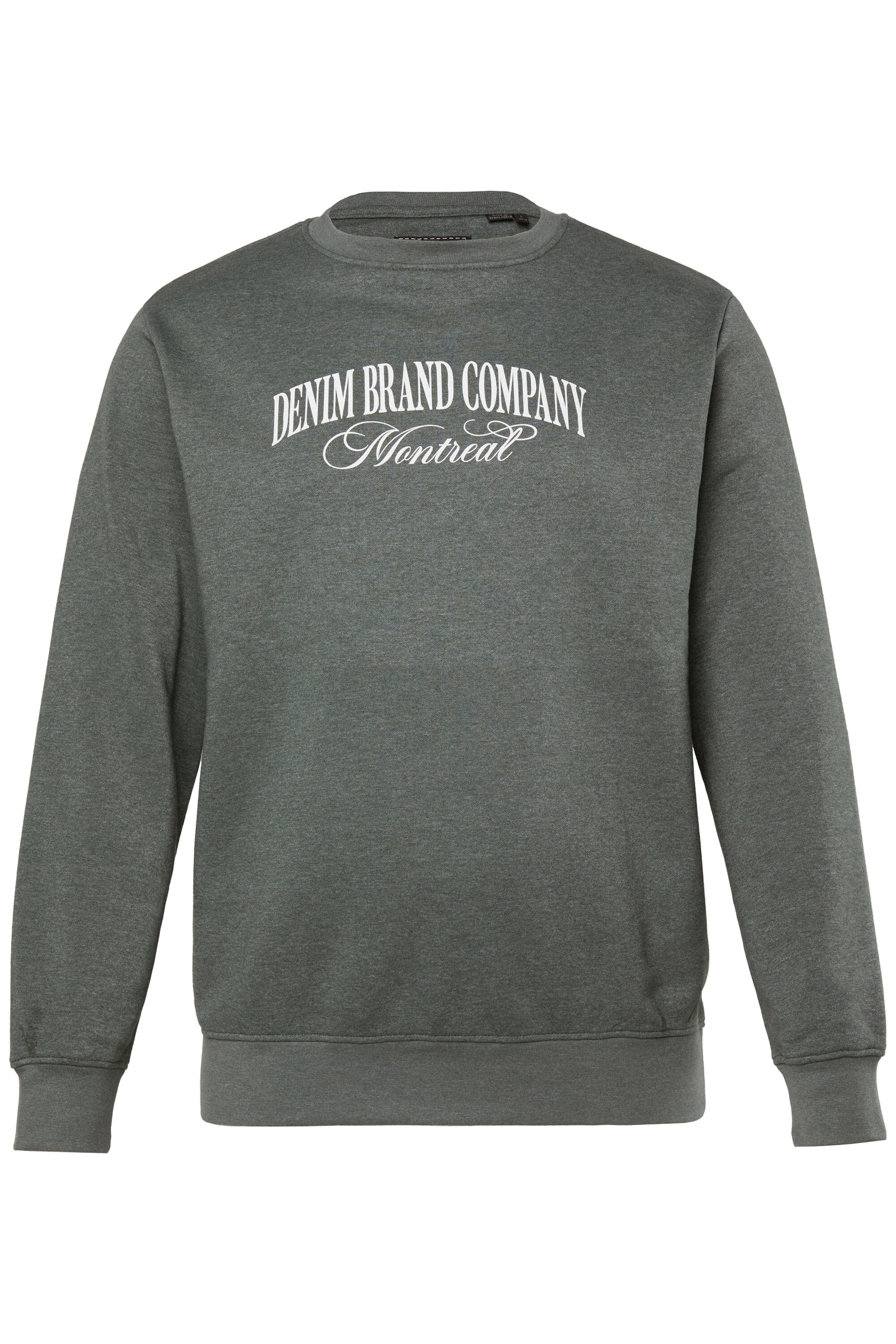Men Plus Sweatshirt in Groen: voorkant