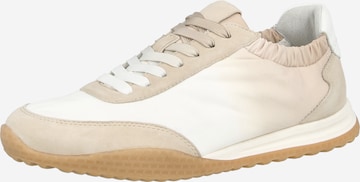 Baskets basses PETER KAISER en marron : devant