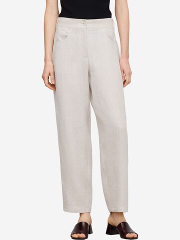 Loosefit Pantaloni di Adolfo Dominguez in grigio: frontale