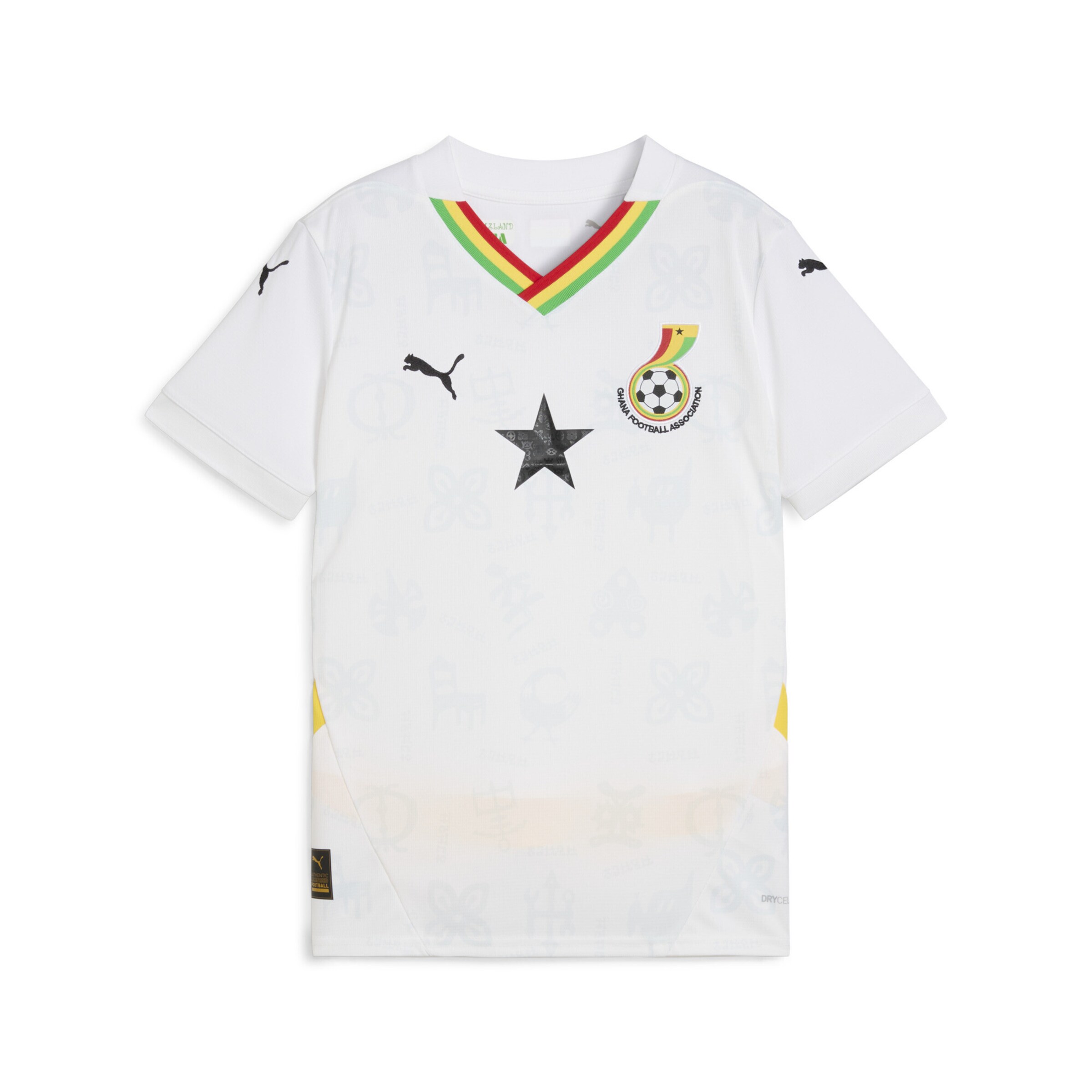 PUMA Funktionsshirt 'Ghana 2025 ' in Weiß: Vorderseite