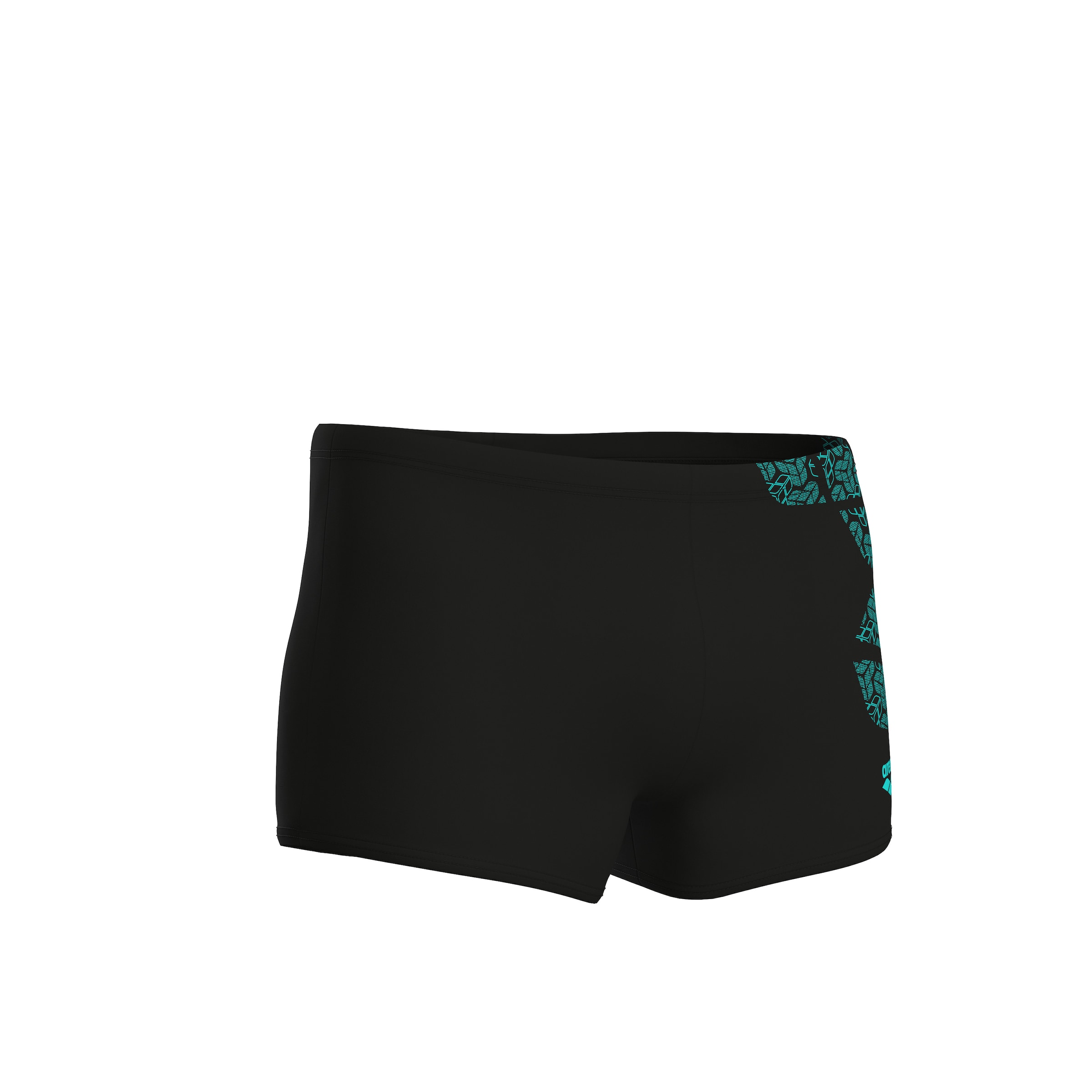 ARENA Board Shorts in Black