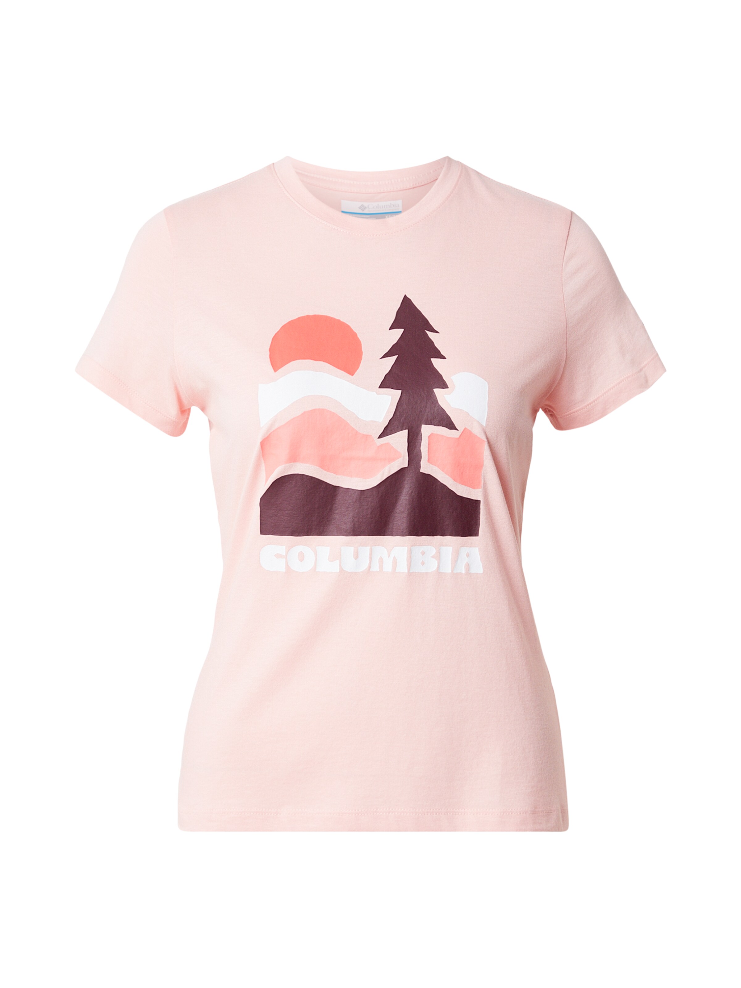 COLUMBIA T-shirt fonctionnel 'Ruby Springs' en mûre / rose / blanc, Vue avec produit