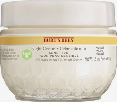 BURT'S BEES Sensitive Night Cream in gelb / weiß, Produktansicht