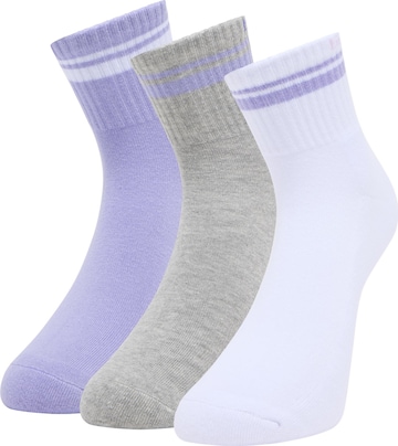 Bruno Banani Socken 'Dodson' in Lila: Vorderseite