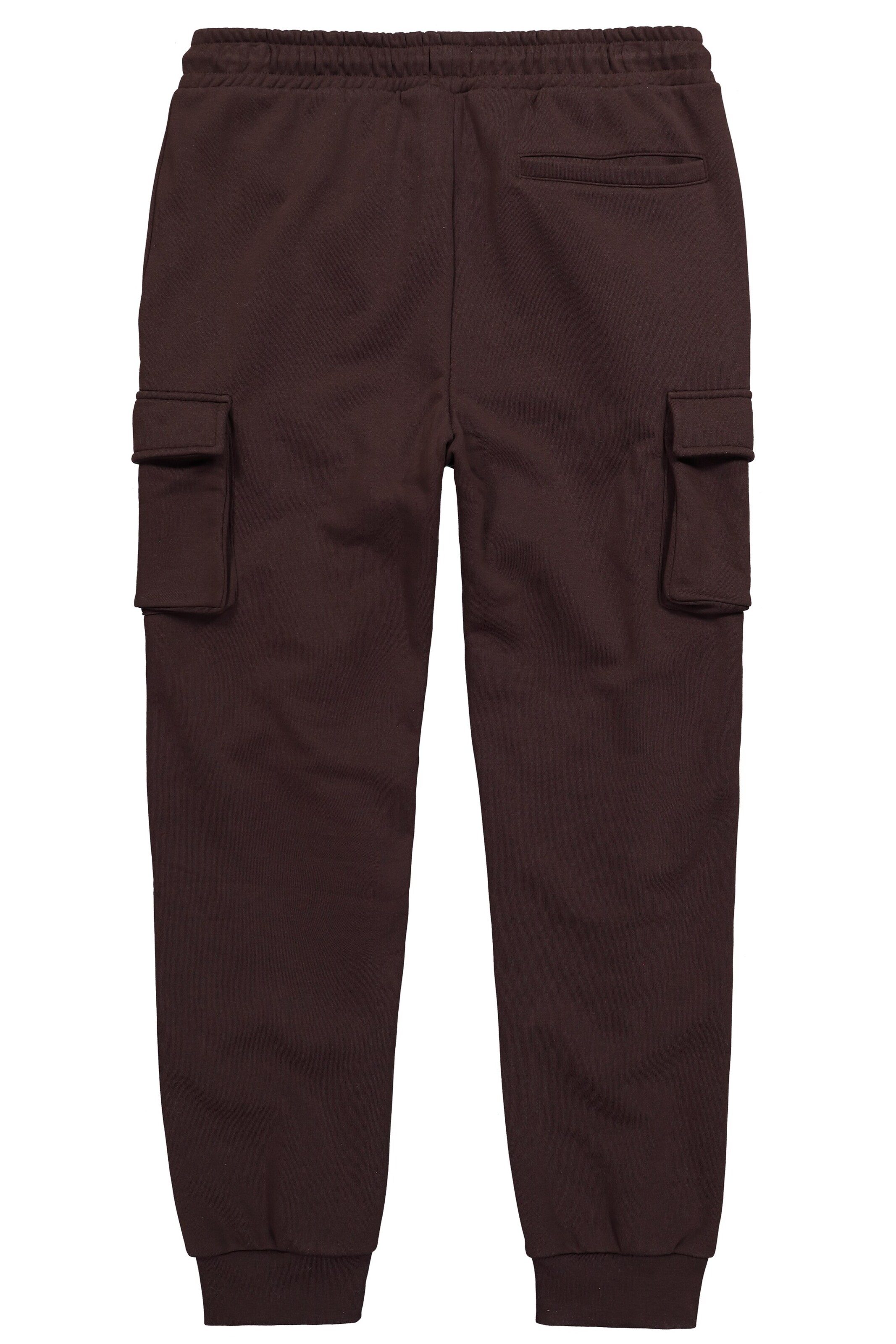 JAY-PI Tapered Pants in Brown