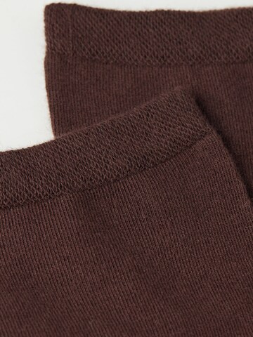 CALZEDONIA Socks in Brown