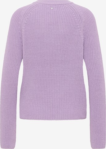 MUSTANG Sweater in Purple