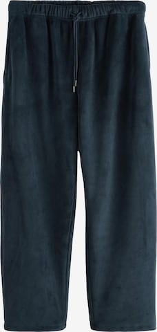 mėlyna Next Standartinis Kelnės: priekis