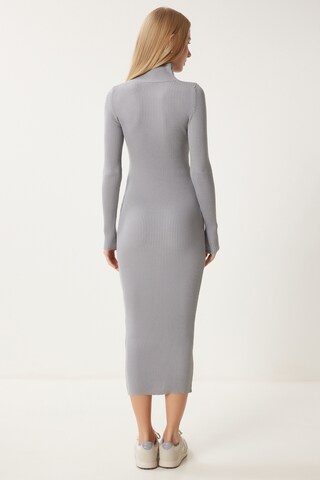 Happiness İstanbul Kleid in Grau