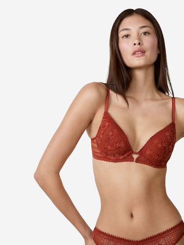 ETAM Push-up Bra 'Aura' in Brown