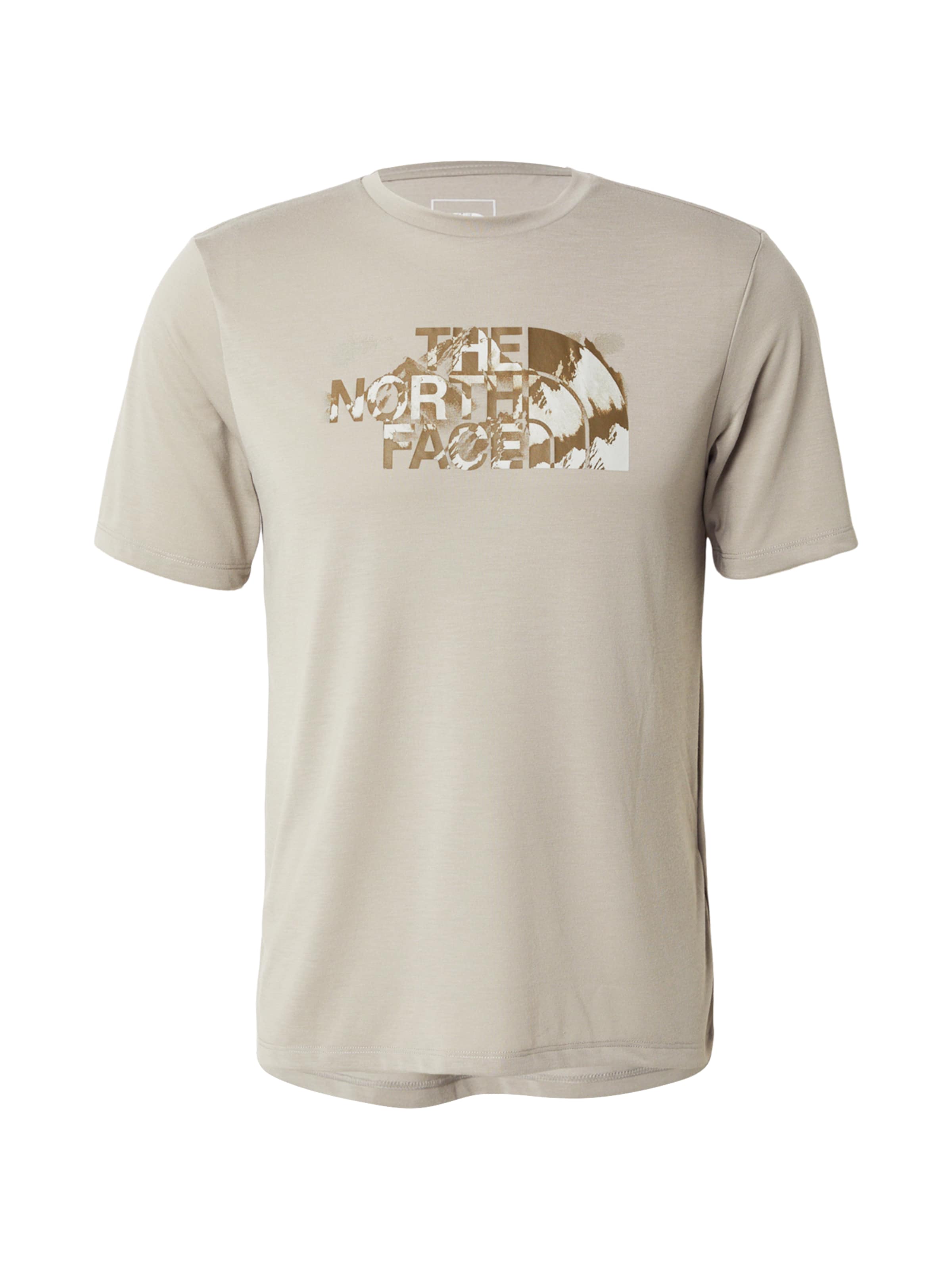 T-Shirt fonctionnel 'FOUNDATION' THE NORTH FACE en gris : devant