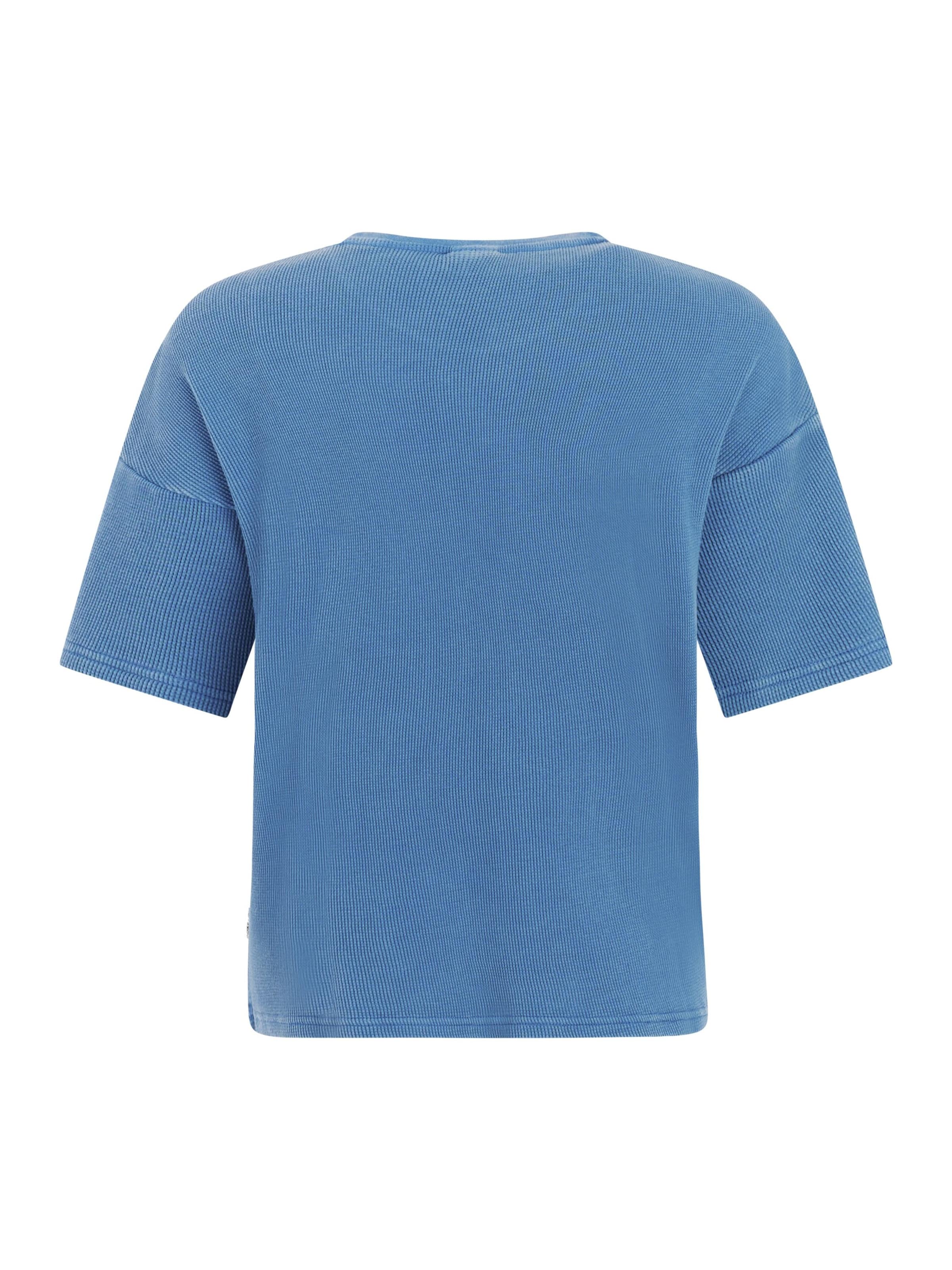 PROTEST Shirt 'PRTAlston' in Blauw