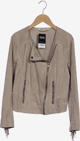 HOLLISTER Jacket & Coat in L in Grey: front