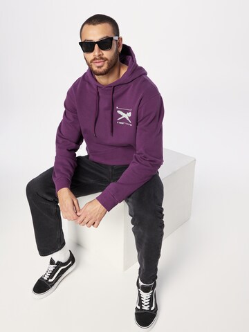 Iriedaily Sweatshirt 'Rayfinger' in Purple