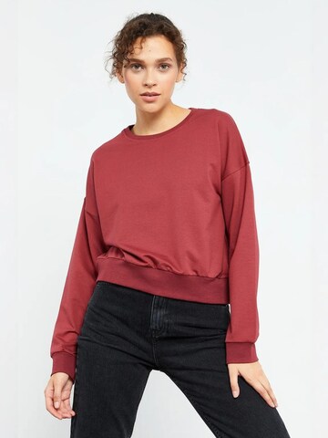 Felpa di Tommy Life in rosso: frontale