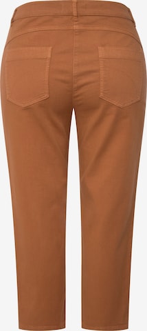 Ulla Popken Regular Jeans in Brown