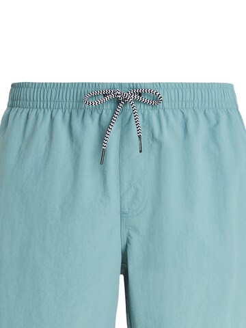 PROTEST Badeshorts 'FASTER' in Grün