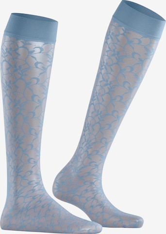 FALKE Over the Knee Socks 'Soft Spell' in Blue: front