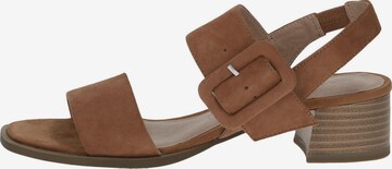 CAPRICE Sandale in Braun
