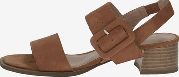 CAPRICE Sandals in Brown