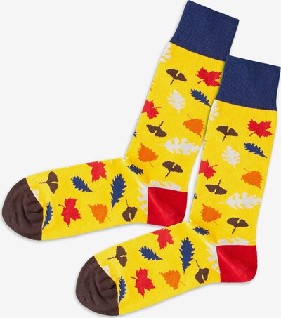 DillySocks Socken in blau / gelb / rot, Produktansicht
