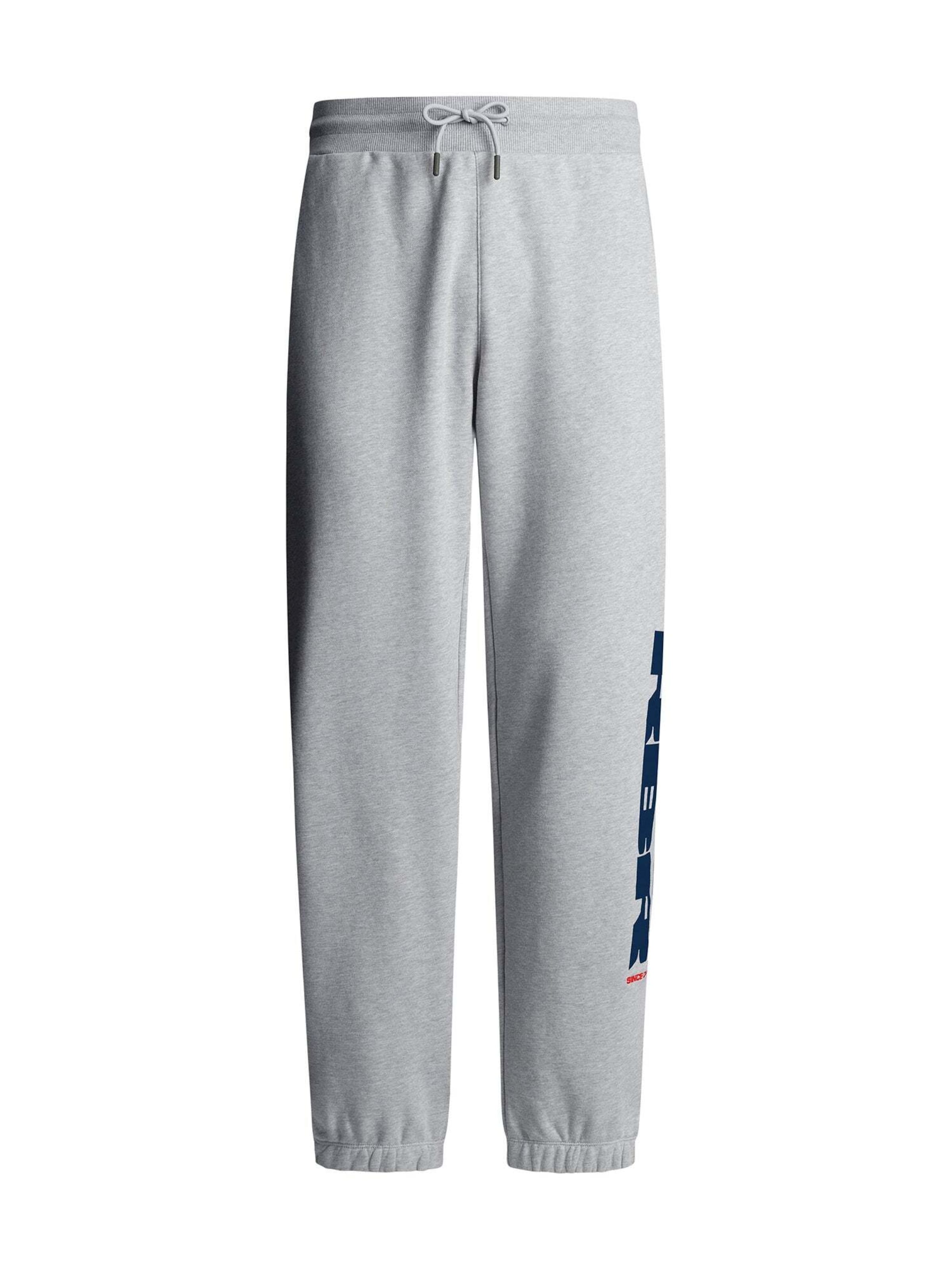 regular Pantaloni di Red Bull Racing x Pepe Jeans in grigio: frontale