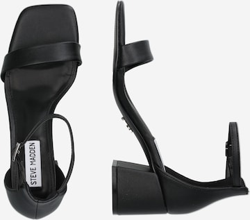 STEVE MADDEN Sandals in Black