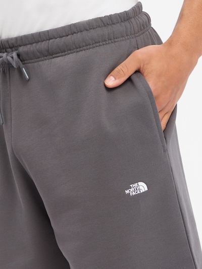 THE NORTH FACE Pants in Anthracite, Item view