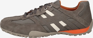 Sneaker bassa 'Uomo Snake' di GEOX in grigio