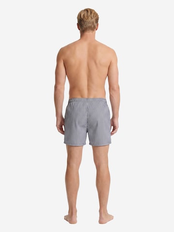 Boxers ' Combo ' Phil & Co. Berlin en bleu