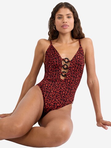 TRIUMPH Badpak ' Red Label Midnight Swim ' in Bruin