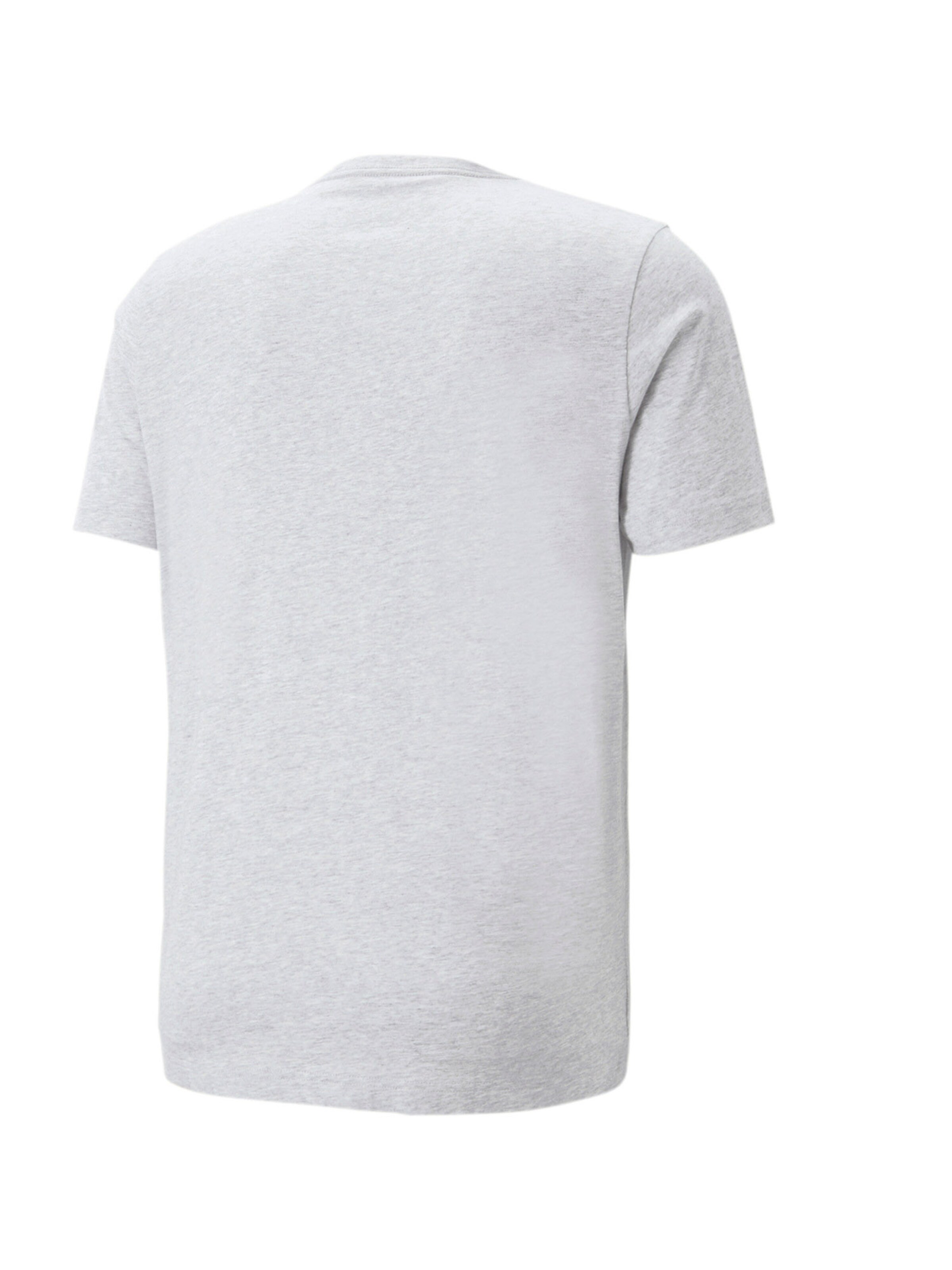 T-Shirt fonctionnel 'Essentials' PUMA en gris