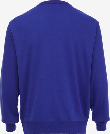 baradello Pullover in Blau