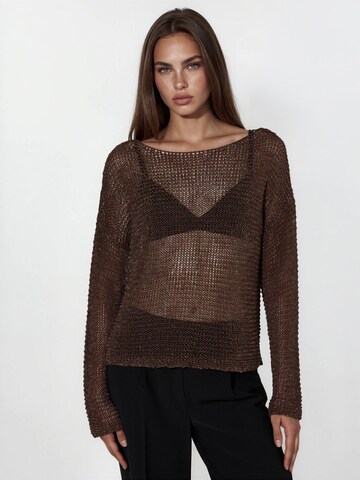 Hiccup Pullover 'Pullover'‌‌‌‌ in Braun