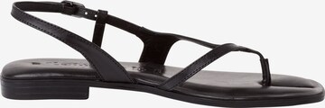 TAMARIS T-Bar Sandals in Black