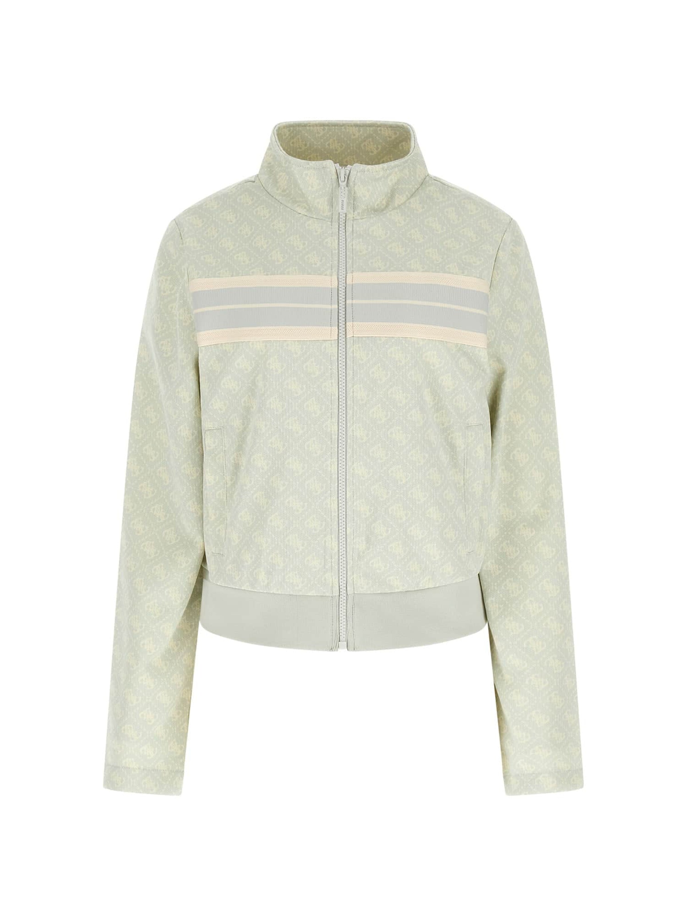 GUESS Zip-Up Hoodie in Grey: front