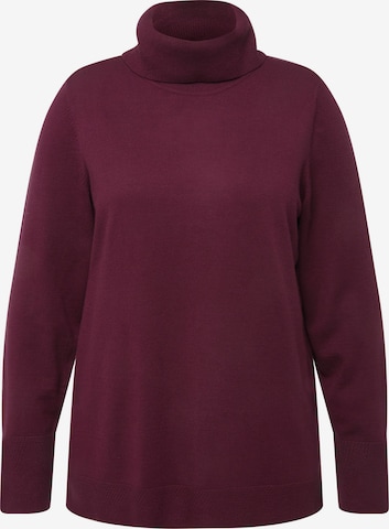 Ulla Popken Pullover in Lila: predná strana