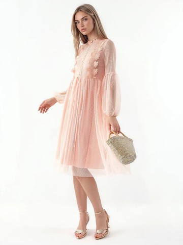 MSN Collection Cocktailjurk in Roze