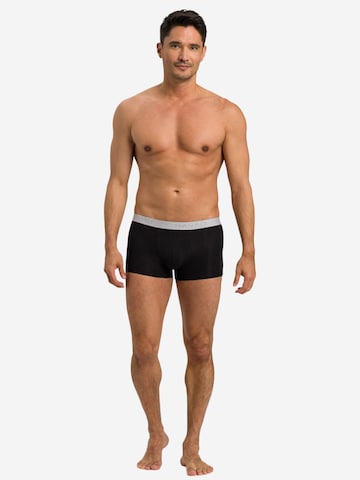 Hanro Boxershorts 'Cotton Essentials' in Zwart