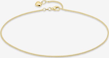 BRUNO BANANI Foot Jewelry in Gold: front