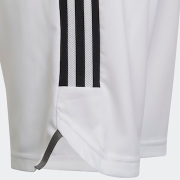 ADIDAS PERFORMANCE Regular Workout Pants 'Condivo 22' in White