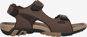 Whistler Sandals 'Tegale' in Brown