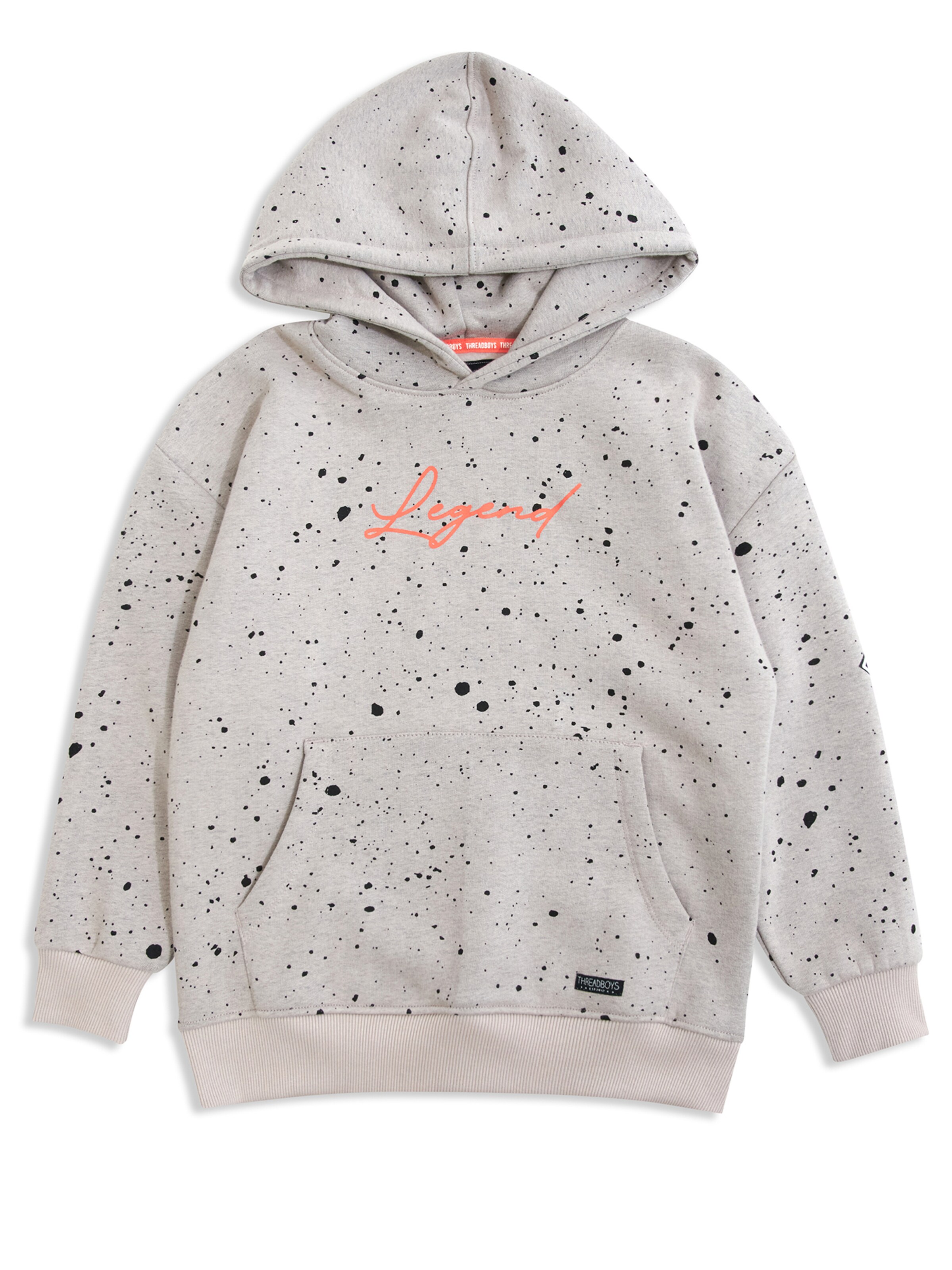 Threadboys Sweatshirt 'Minnesota' in Grijs: voorkant