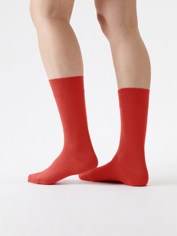 Von Jungfeld Socks 'Colour' in Red