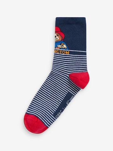 Next Socks in Blue