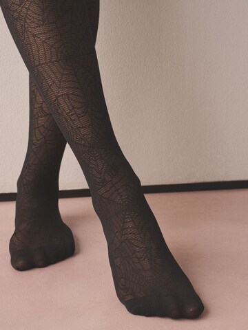 Collants Next en marron