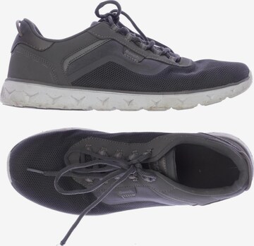 BENCH Sneakers & Trainers in 42 in Grey: front