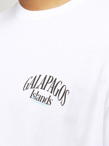 Jack & Jones Plus Bluser & t-shirts 'Conte' i hvid