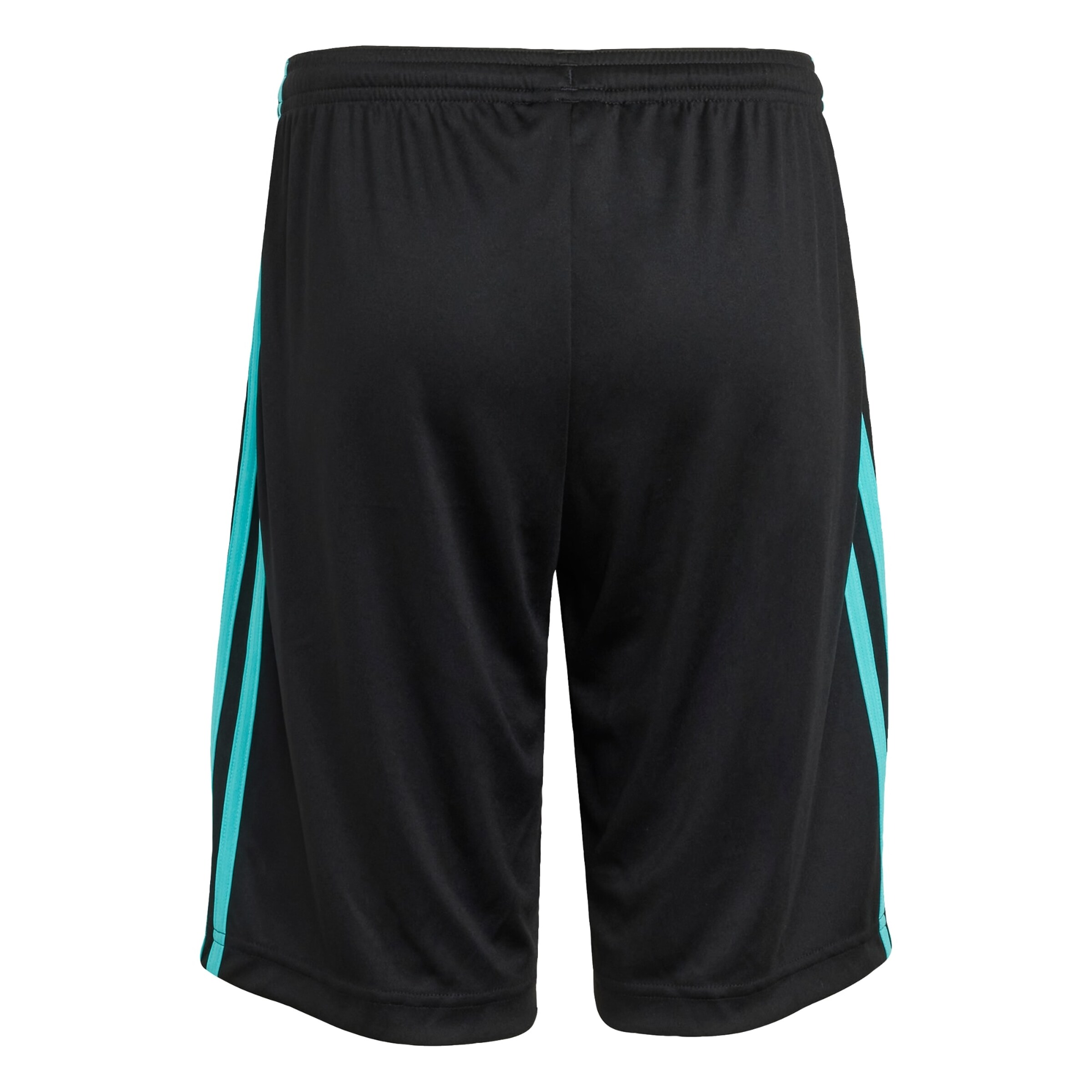 ADIDAS PERFORMANCE - regular Pantalón deportivo 'Mercedes - AMG Petronas Formula One Team' en negro